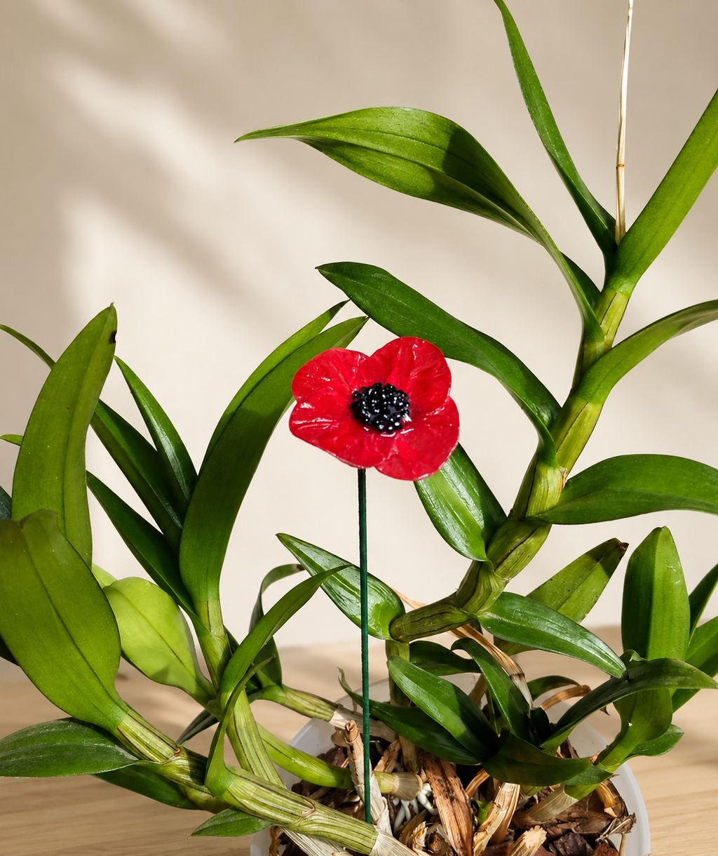 Coquelicot rouge artisanal sur tige piqué dans une plante verte