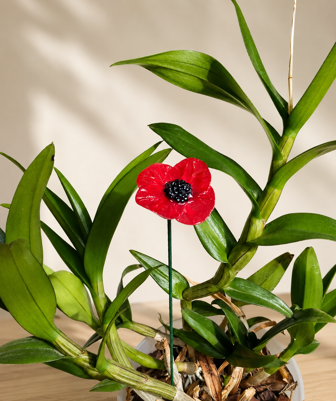 Coquelicot rouge artisanal sur tige piqué dans une plante verte